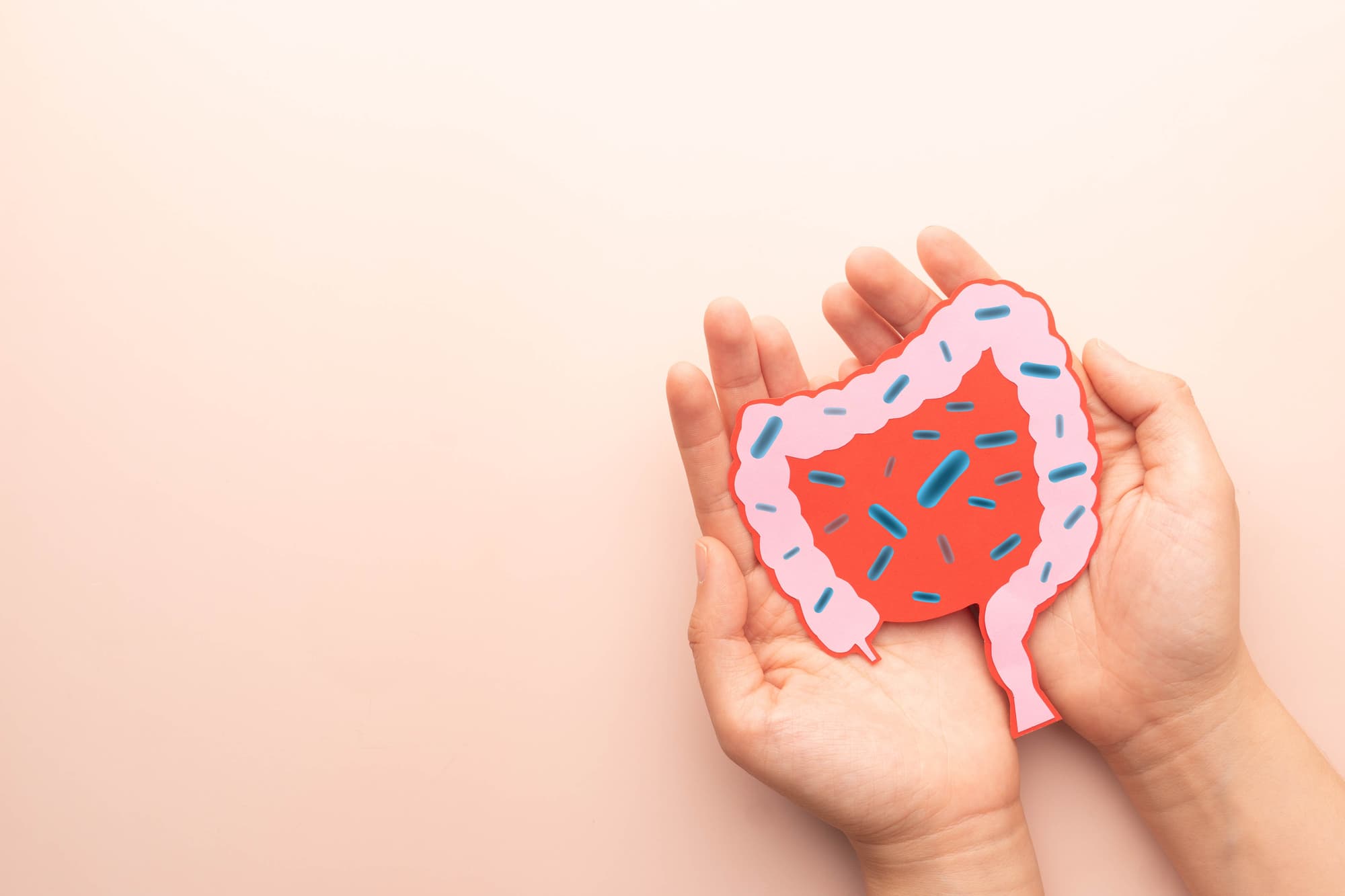 腸に届いた菌のイメージ