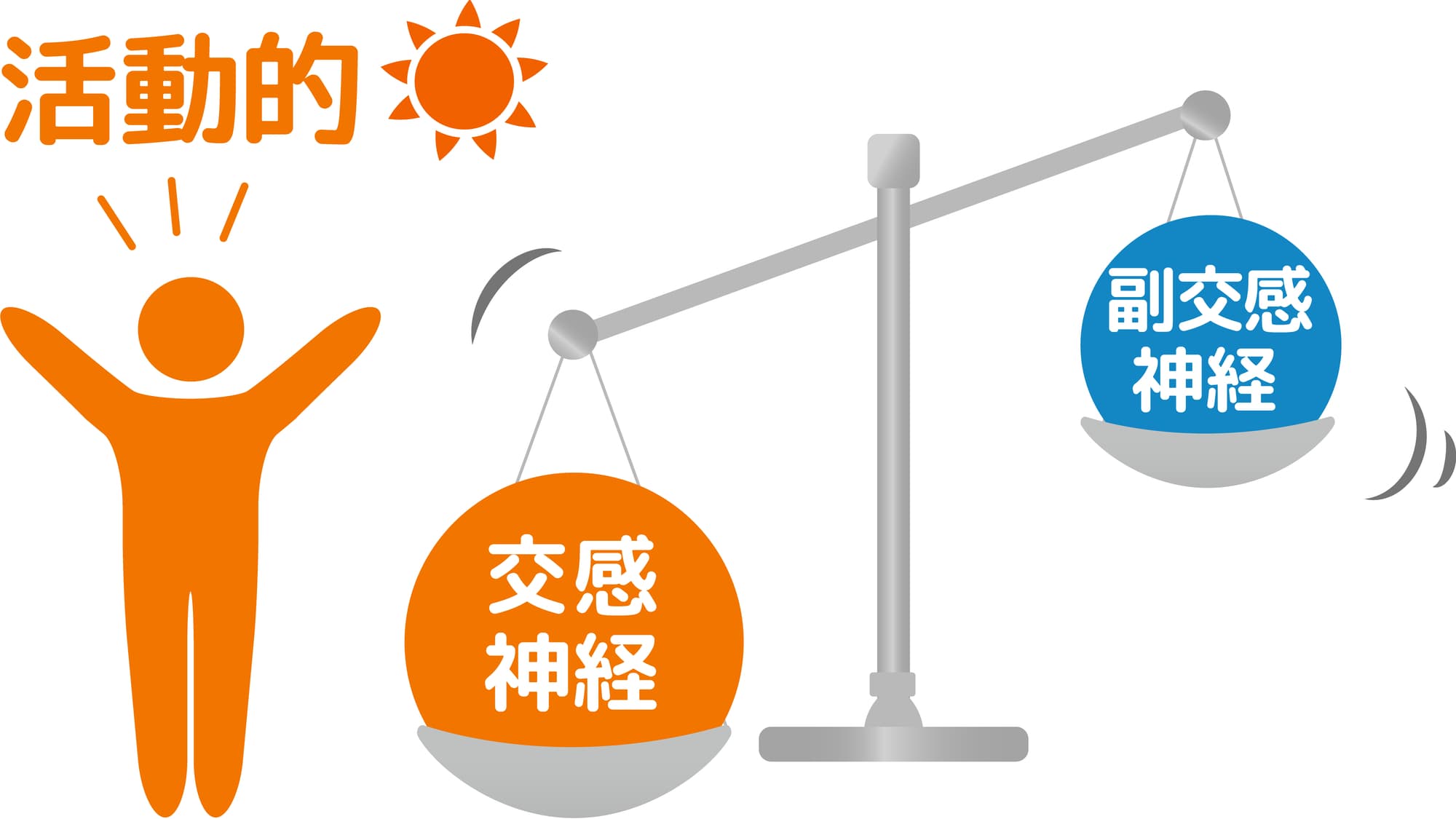 交感神経が有利になるイメージ